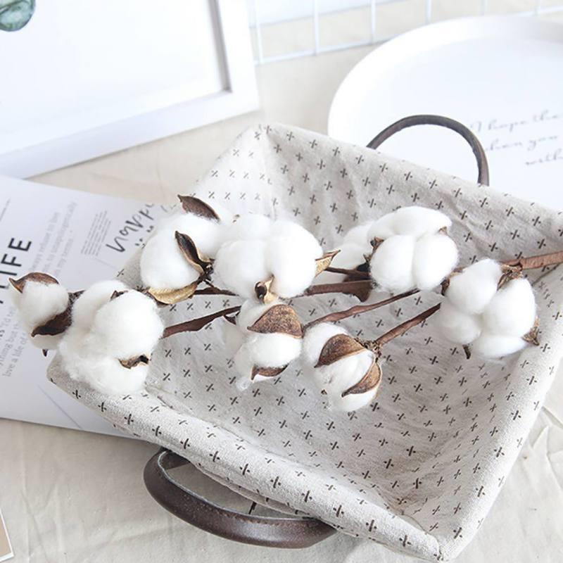 Doğal Pamuk Çiçeği 5Adet 5 li Kuru Çiçek 56cm Yapay Çiçek 