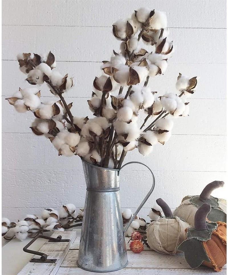 Doğal Pamuk Çiçeği 5Adet 5 li Kuru Çiçek 56cm Yapay Çiçek 