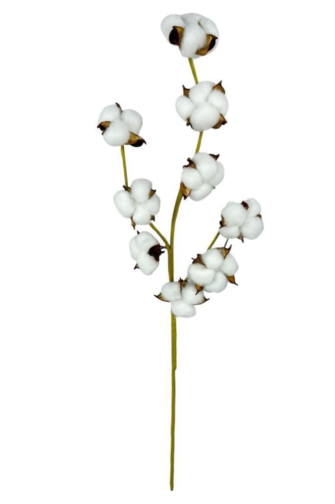 Doğal Pamuk Çiçeği 9lu Kuru Çiçek 60cm Yapay Çiçek 