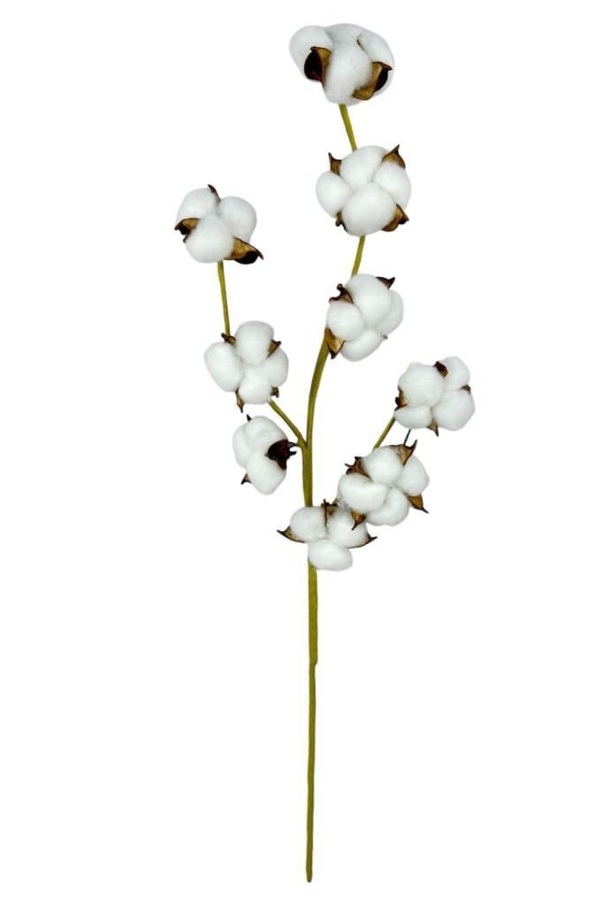 Doğal Pamuk Çiçeği 9lu Kuru Çiçek 60cm Yapay Çiçek 