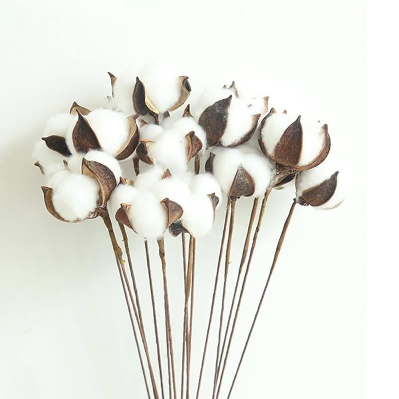 Doğal Pamuk Dalı Dekratif Kuru Çiçek  Yapay Çiçek 1 ADET Pamuk Topu