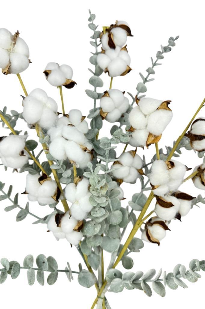 Doğal Pamuk Ve Okaliptus Çiçeği Kuru Çiçek Yapay Çiçek 2li Mix  