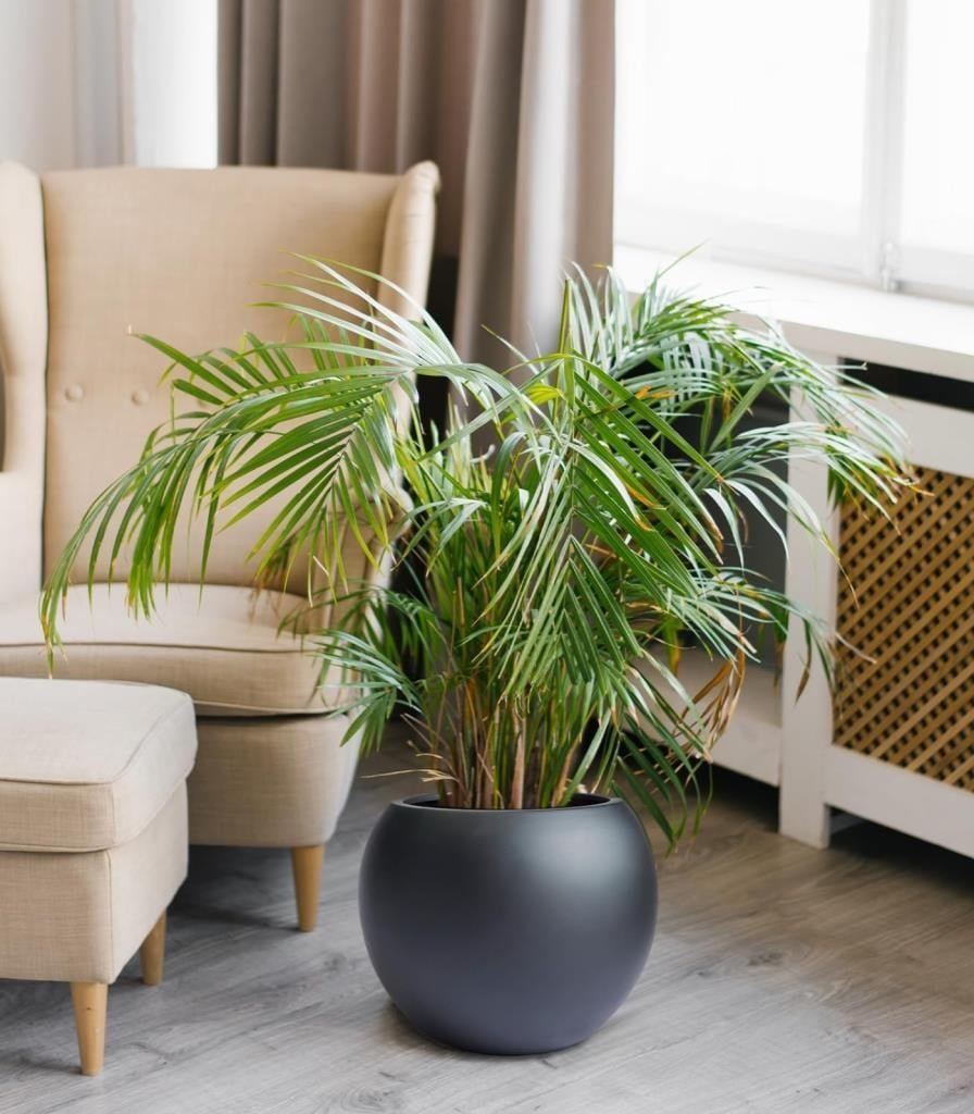 Küre Yuvarlak Top Vazo Dekoratif Saksı ANTRASİT 38*30cm