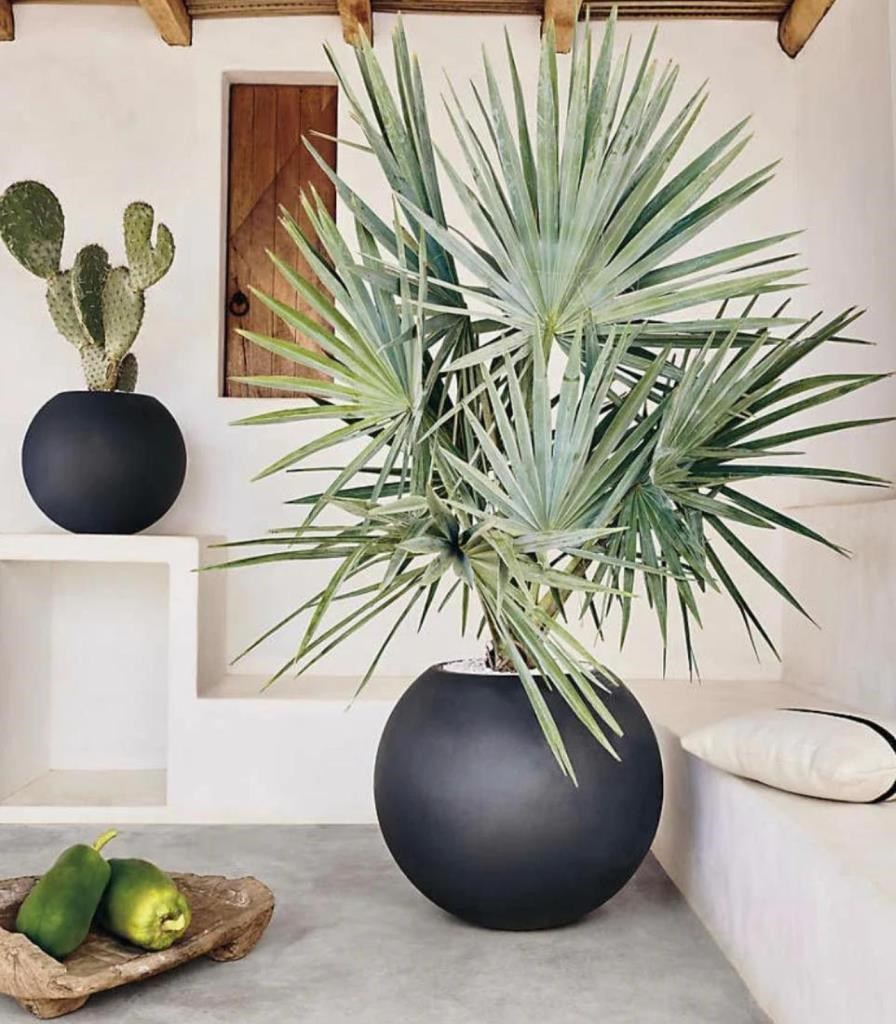 Küre Yuvarlak Top Vazo Dekoratif Saksı ANTRASİT 25*20cm