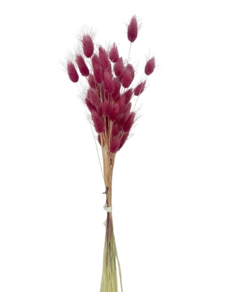 Kuru Çiçek Doğal BORDO AÇIK Pamuk Otu 10gram 1. Kalite Şoklanmış Bozulmaz