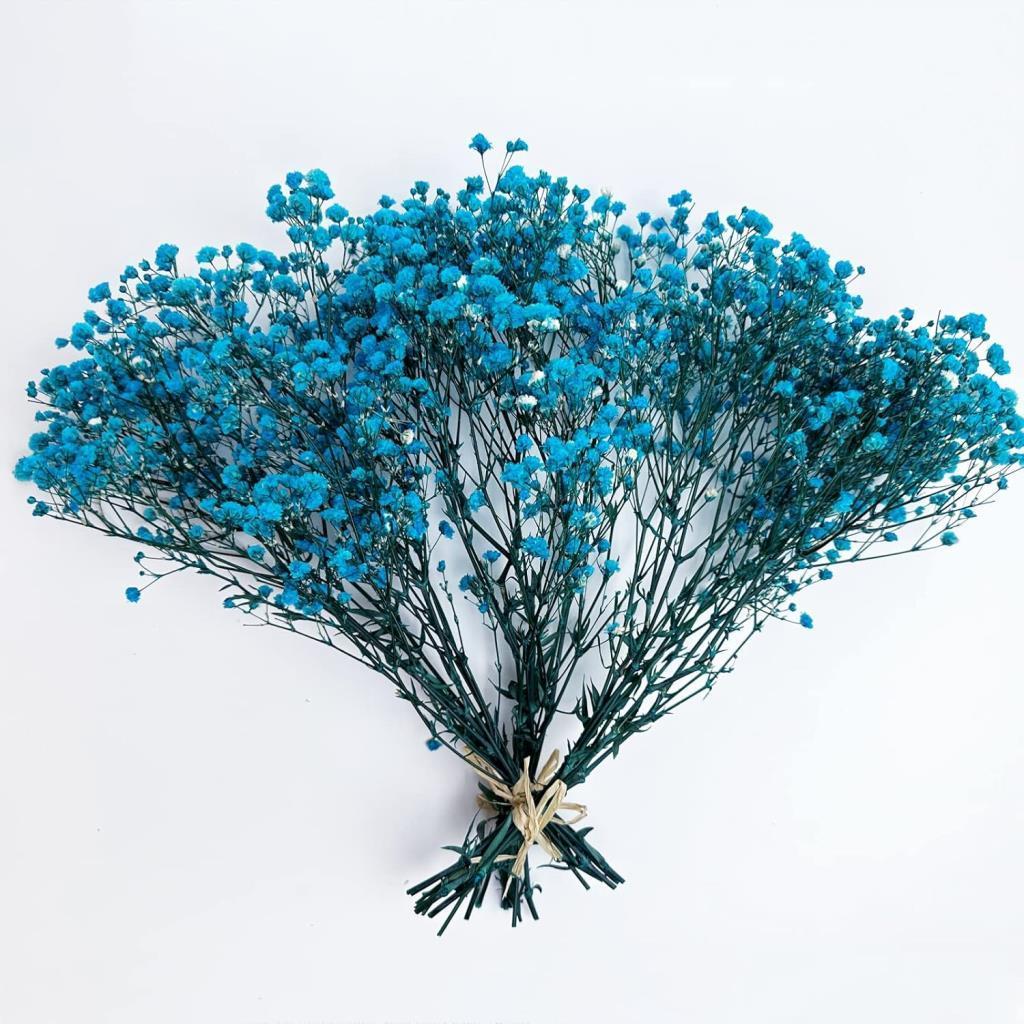 Kuru Çiçek Doğal CİVİT MAVİ Cipso 50gram 1. Kalite Şoklanmış Bozulmaz