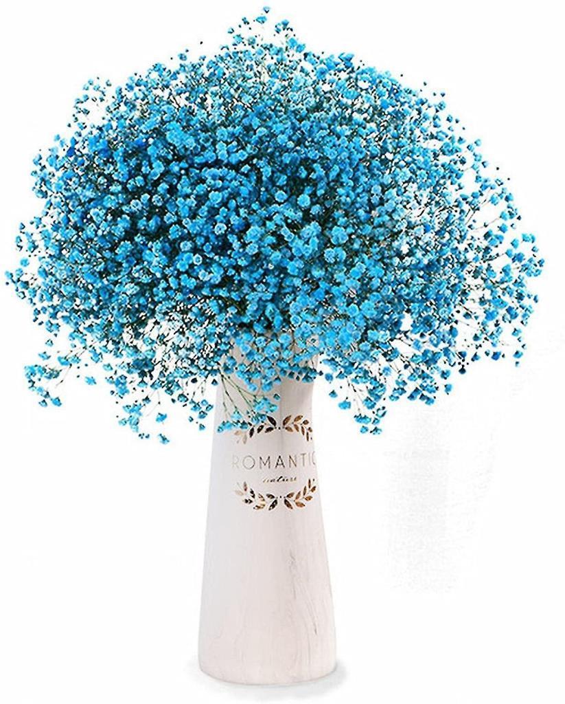 Kuru Çiçek Doğal CİVİT MAVİ Cipso 50gram 1. Kalite Şoklanmış Bozulmaz