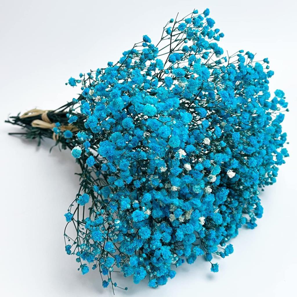 Kuru Çiçek Doğal CİVİT MAVİ Cipso 50gram 1. Kalite Şoklanmış Bozulmaz