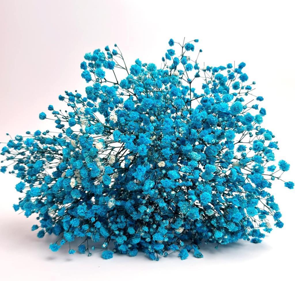 Kuru Çiçek Doğal CİVİT MAVİ Cipso 50gram 1. Kalite Şoklanmış Bozulmaz