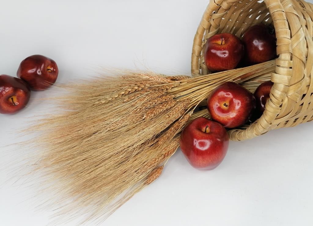 Kuru Çiçek Doğal Kahverengi Başak 35gram 1. Kalite Şoklanmış Bozulmaz