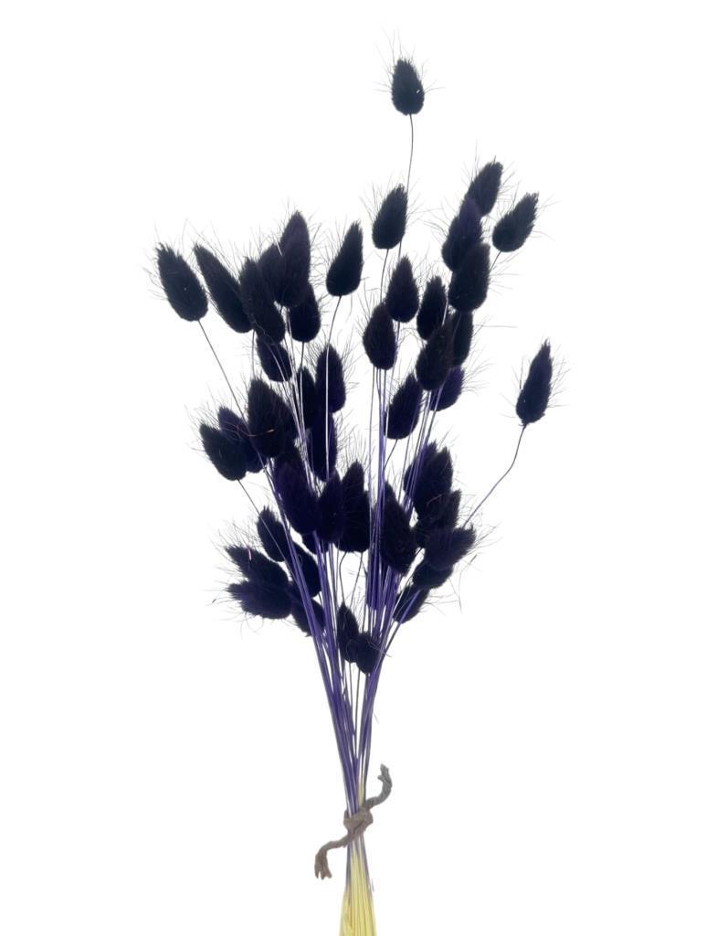 Kuru Çiçek Doğal KOYU LACİVERT Pamuk Otu 10gram 1. Kalite Şoklanmış Bozulmaz