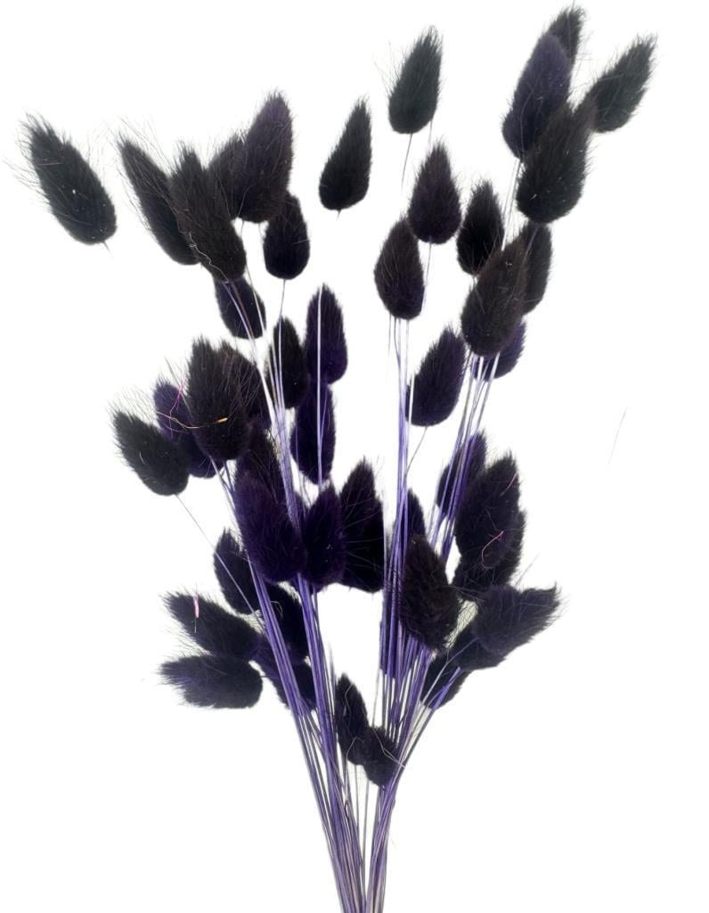 Kuru Çiçek Doğal KOYU LACİVERT Pamuk Otu 10gram 1. Kalite Şoklanmış Bozulmaz