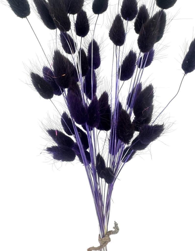 Kuru Çiçek Doğal KOYU LACİVERT Pamuk Otu 10gram 1. Kalite Şoklanmış Bozulmaz