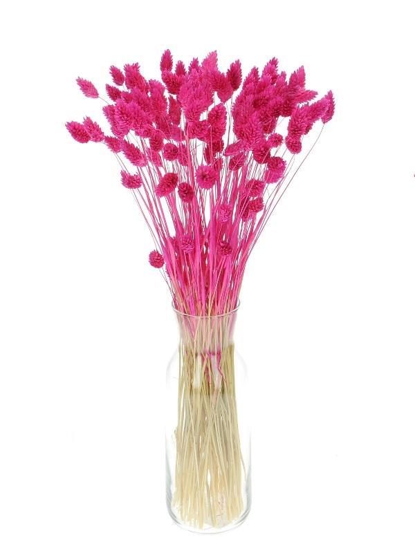 Kuru Çiçek Doğal Kuş Otu Çingene Pembe Renk 40-50gram 1. Kalite Şoklanmış Bozulmaz