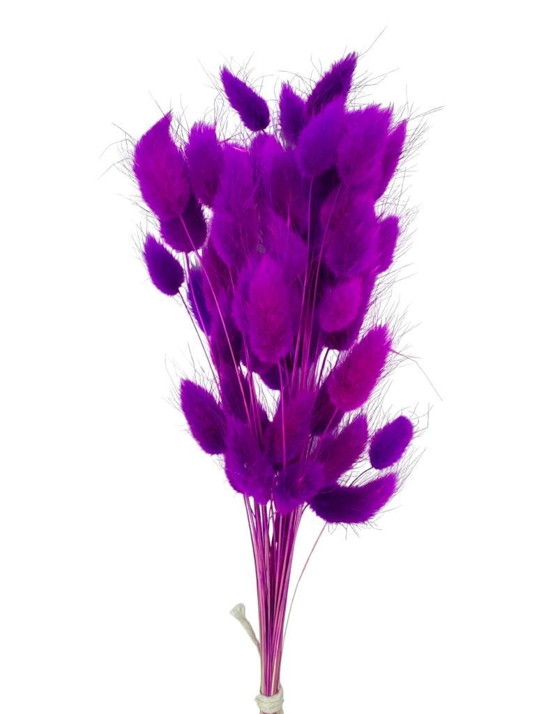 Kuru Çiçek Doğal LİLA Pamuk Otu 10gram 1. Kalite Şoklanmış Bozulmaz