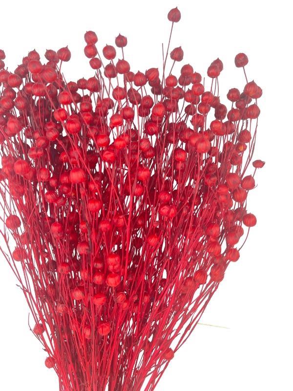 Kuru Çiçek Doğal Luna Otu Kırmızı Renk 40-50gram 1. Kalite Linum Keten Otu Şoklanmış Bozulmaz