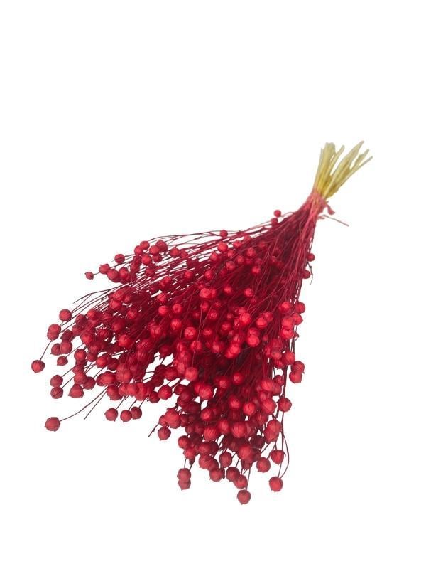 Kuru Çiçek Doğal Luna Otu Kırmızı Renk 40-50gram 1. Kalite Linum Keten Otu Şoklanmış Bozulmaz