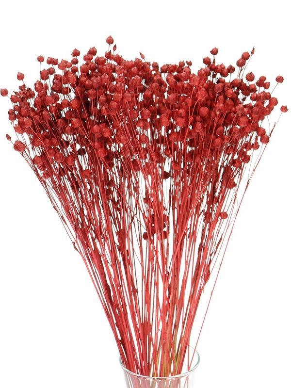 Kuru Çiçek Doğal Luna Otu Kırmızı Renk 40-50gram 1. Kalite Linum Keten Otu Şoklanmış Bozulmaz