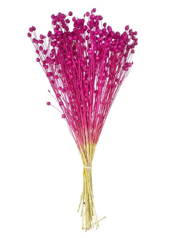 Kuru Çiçek Doğal Luna Otu Koyu Pembe Renk 40-50gram 1. Kalite Linum Keten Otu Şoklanmış Bozulmaz