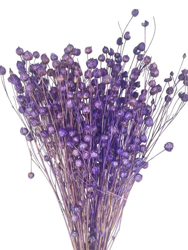 Kuru Çiçek Doğal Luna Otu Lila Renk 40-50gram 1. Kalite Linum Keten Otu Şoklanmış Bozulmaz