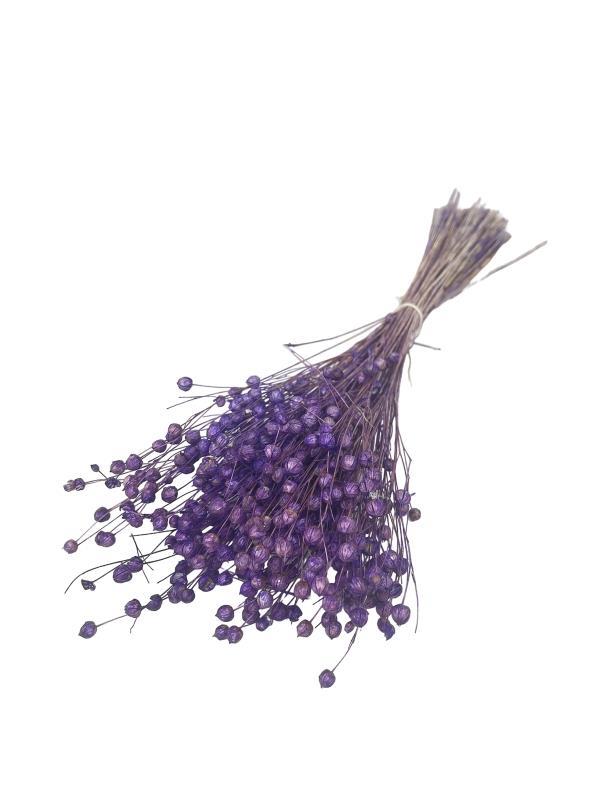Kuru Çiçek Doğal Luna Otu Lila Renk 40-50gram 1. Kalite Linum Keten Otu Şoklanmış Bozulmaz