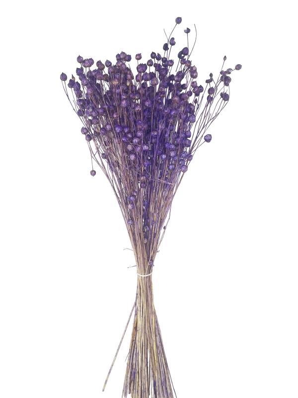 Kuru Çiçek Doğal Luna Otu Lila Renk 40-50gram 1. Kalite Linum Keten Otu Şoklanmış Bozulmaz