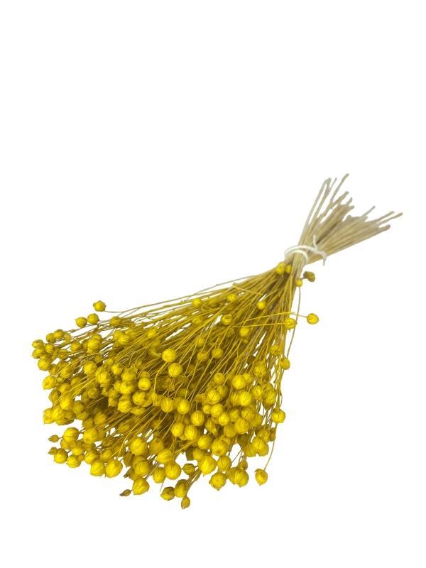 Kuru Çiçek Doğal Luna Otu Sarı Renk 40-50gram 1. Kalite Linum Keten Otu Şoklanmış Bozulmaz