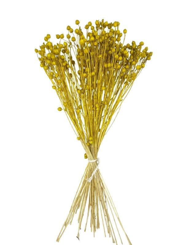 Kuru Çiçek Doğal Luna Otu Sarı Renk 40-50gram 1. Kalite Linum Keten Otu Şoklanmış Bozulmaz