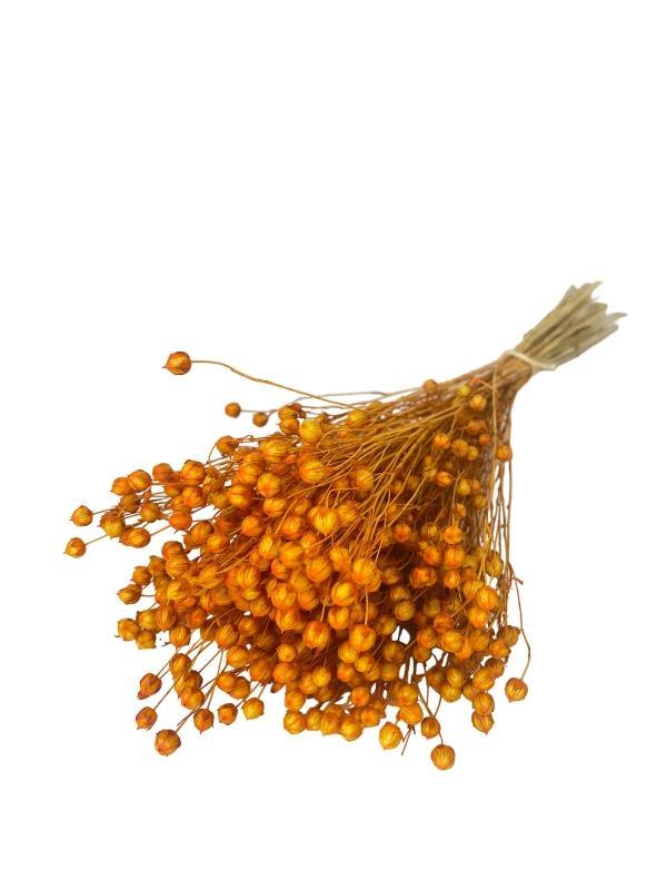 Kuru Çiçek Doğal Luna Otu Turuncu Somon Renk 40-50gram 1. Kalite Linum Keten Otu Şoklanmış Bozulmaz