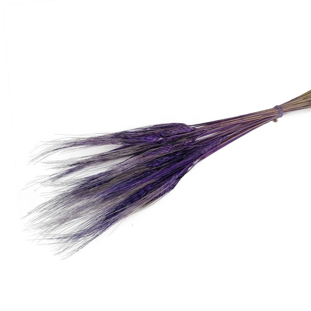 Kuru Çiçek Doğal Mor Başak 35gram 1. Kalite Şoklanmış Bozulmaz