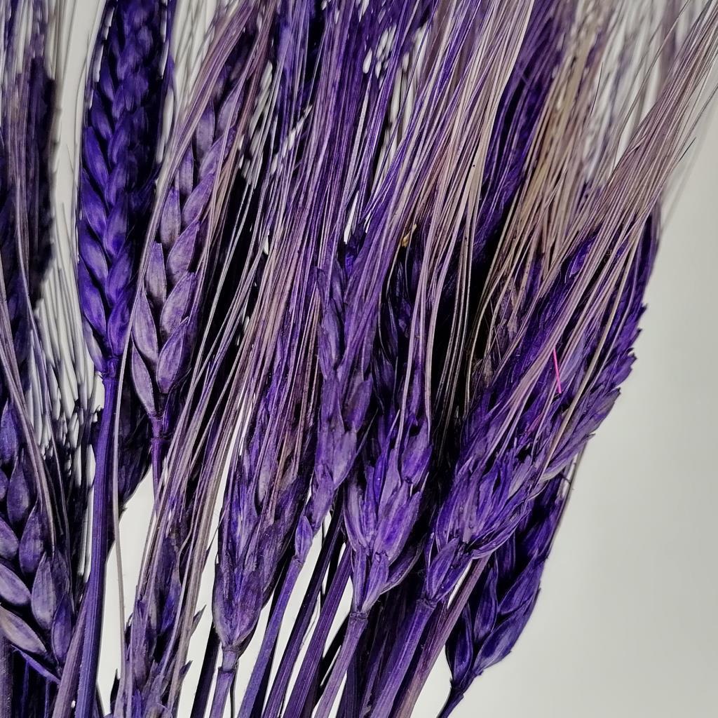 Kuru Çiçek Doğal Mor Başak 35gram 1. Kalite Şoklanmış Bozulmaz