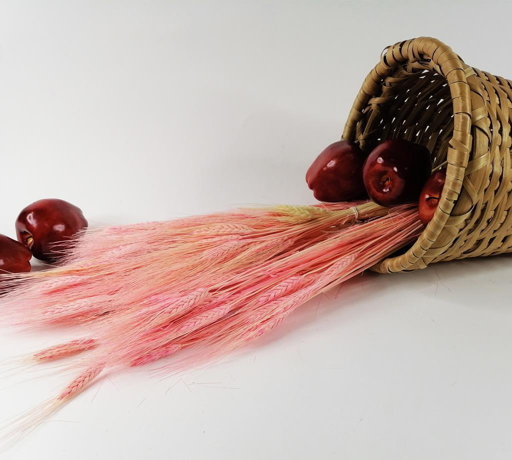 Kuru Çiçek Doğal Pembe Başak 35gram 1. Kalite Şoklanmış Bozulmaz