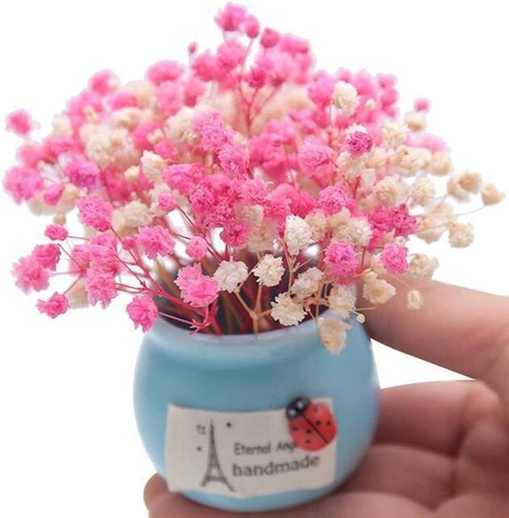 Kuru Çiçek Doğal PEMBE Cipso 50gram 1. Kalite Şoklanmış Bozulmaz