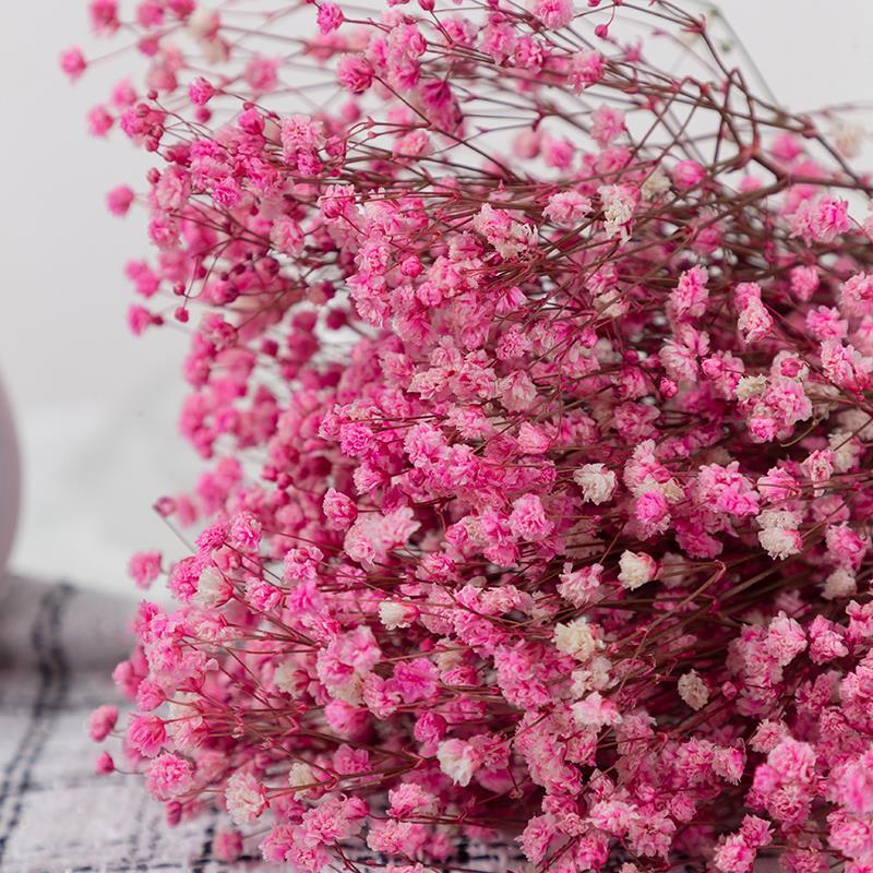 Kuru Çiçek Doğal PEMBE Cipso 50gram 1. Kalite Şoklanmış Bozulmaz