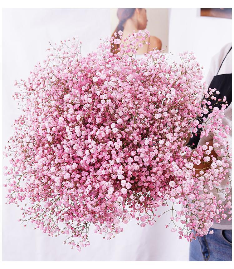 Kuru Çiçek Doğal PEMBE Cipso 50gram 1. Kalite Şoklanmış Bozulmaz