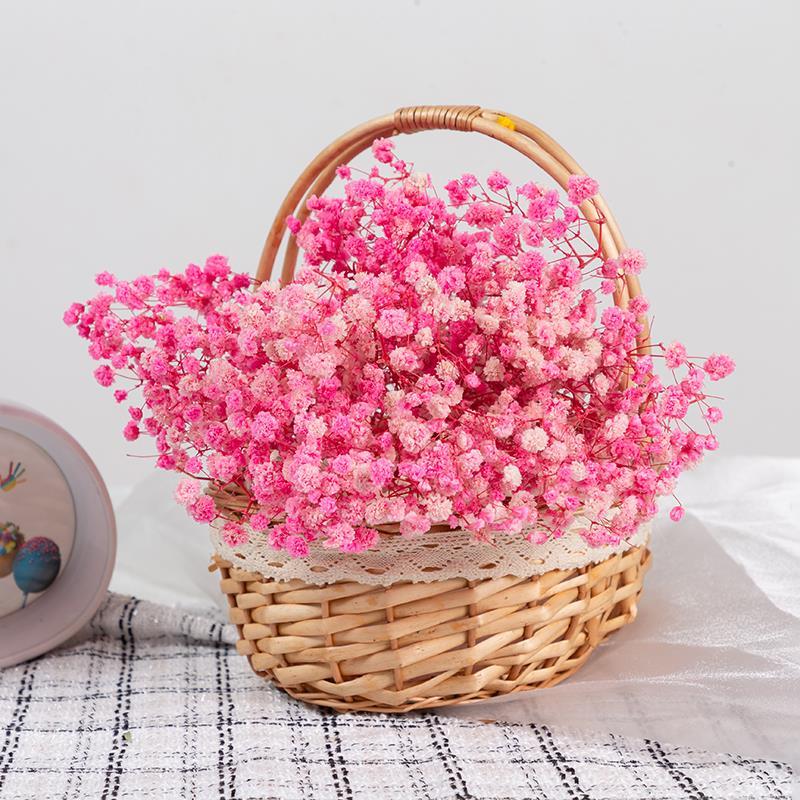 Kuru Çiçek Doğal PEMBE Cipso 50gram 1. Kalite Şoklanmış Bozulmaz