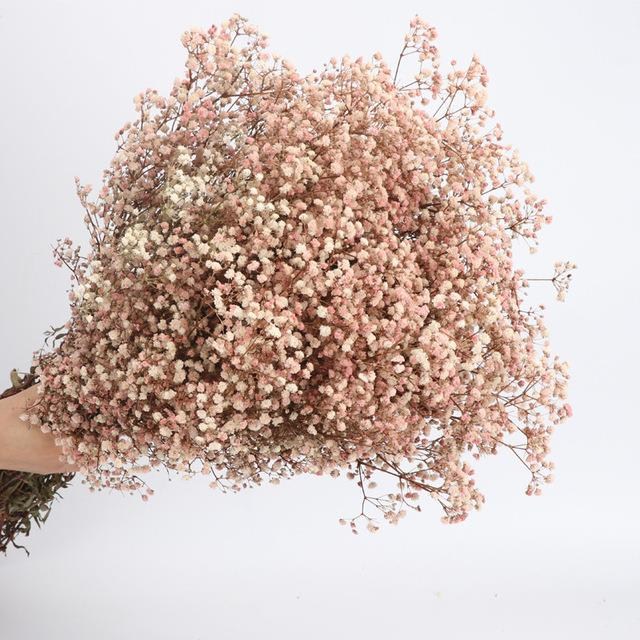 Kuru Çiçek Doğal PUDRA PEMBE Cipso 50gram 1. Kalite Şoklanmış Bozulmaz