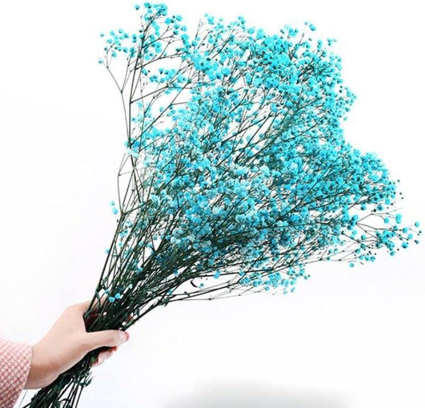 Kuru Çiçek Doğal Turkuaz Cipso 50gram 1. Kalite Şoklanmış Bozulmaz