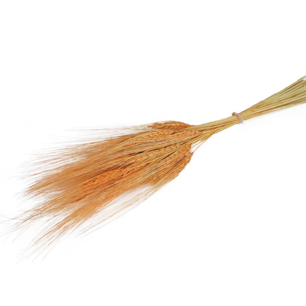 Kuru Çiçek Doğal Turuncu Başak 35gram 1. Kalite Şoklanmış Bozulmaz