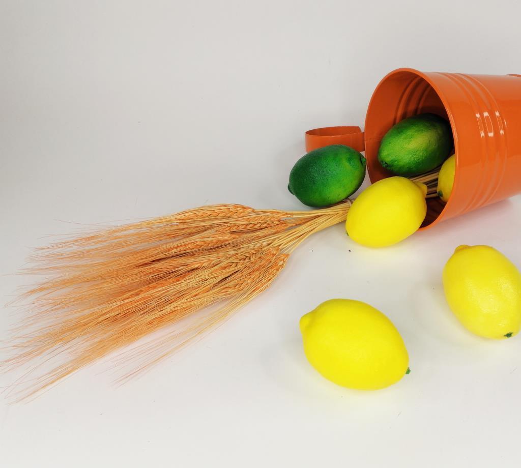 Kuru Çiçek Doğal Turuncu Başak 35gram 1. Kalite Şoklanmış Bozulmaz