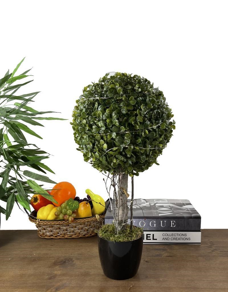 Led Işıklı Şimşir Top Yılbaşı Ağacı Tek Toplu 23cmx45cm Siyah Saksılı