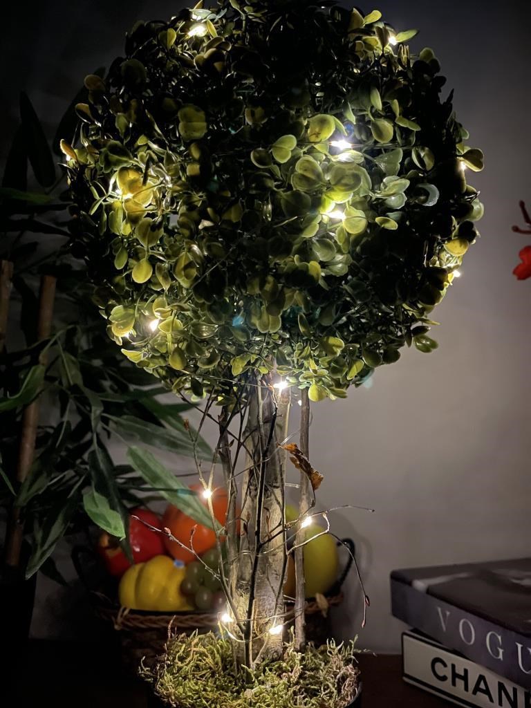 Led Işıklı Şimşir Top Yılbaşı Ağacı Tek Toplu 23cmx45cm Siyah Saksılı