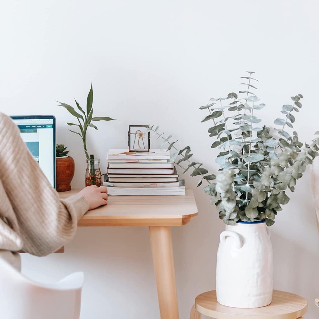 Şoklanmış Okaliptus Stabilize Kuru Çiçek Yeşil 50 Gram