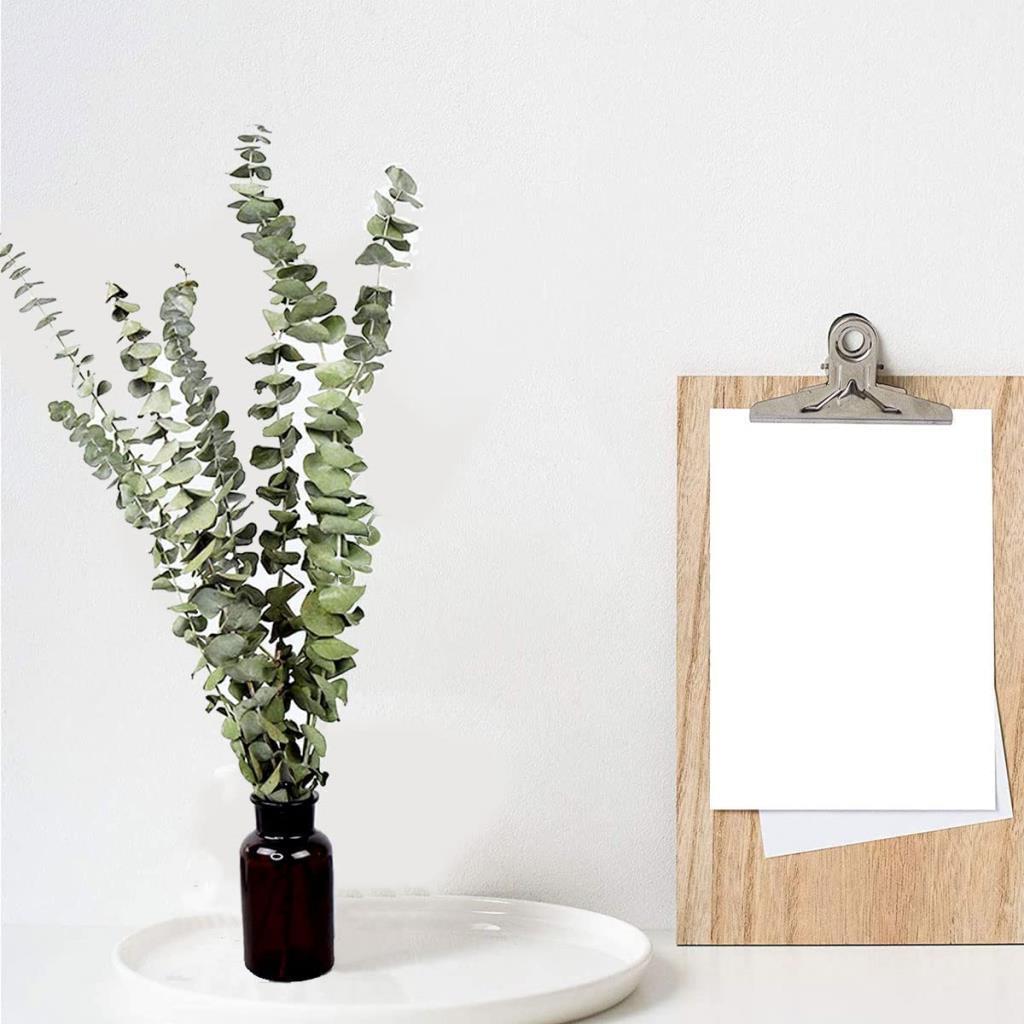 Şoklanmış Okaliptus Stabilize Kuru Çiçek Yeşil 50 Gram