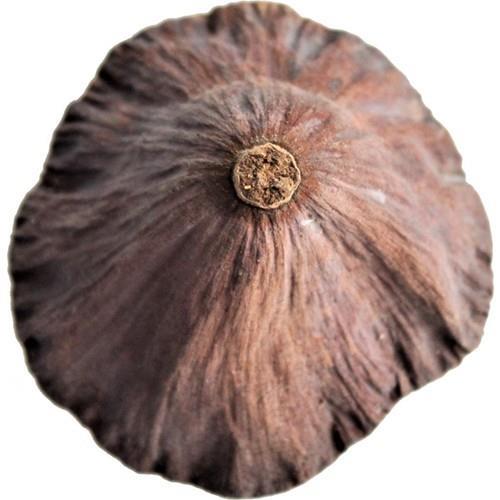 Succulent Lotus Plant Gerçek Lotus Çiçeği Kuru Çiçek 4 ADET