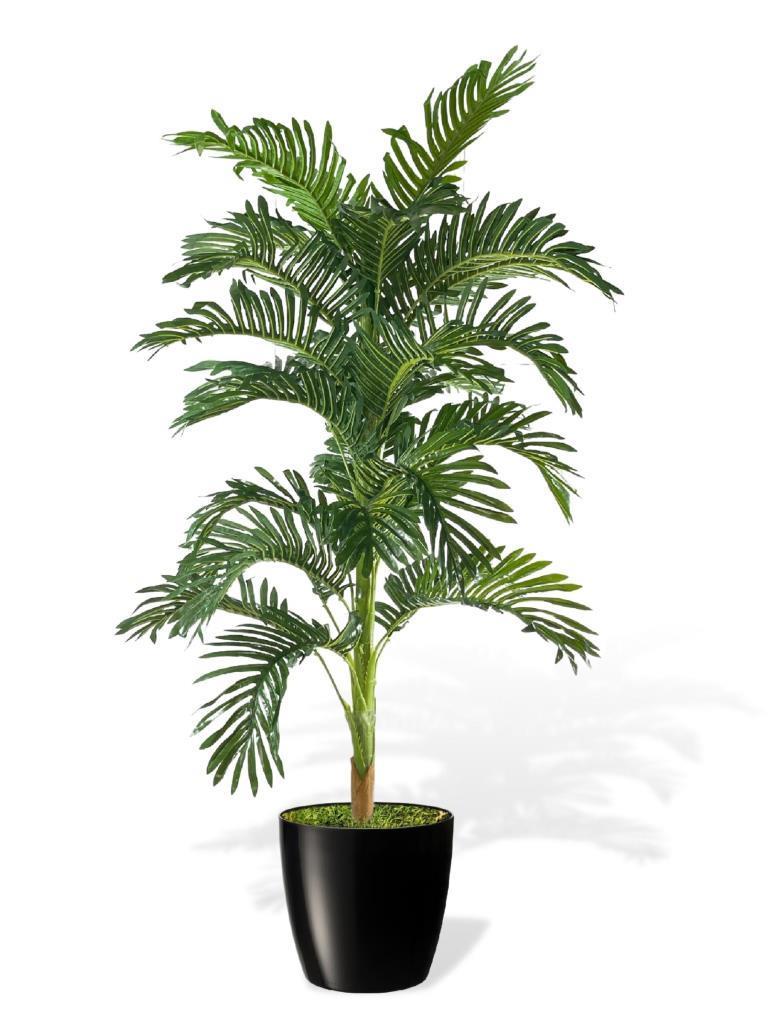 Yapay Ağaç Areka 150cm Gür Yapraklı Siyah Plastik Yakut Saksıda