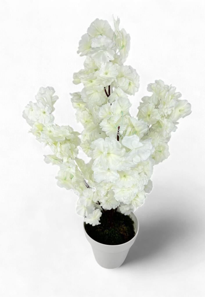 Yapay Ağaç Bahardalı Ağacı Beyaz Japon Kiraz Çiçeği Sakura Çiçeği 70cm Beyaz Plastik Saksılı