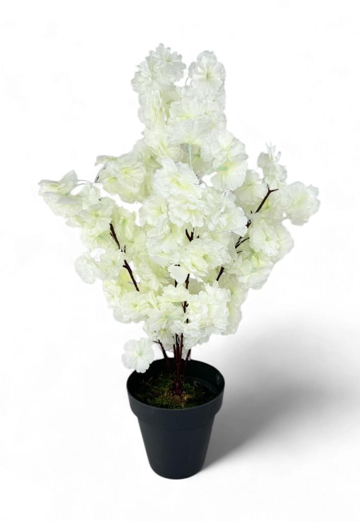 Yapay Ağaç Bahardalı Ağacı Beyaz Japon Kiraz Çiçeği Sakura Çiçeği 70cm Siyah Plastik Saksılı