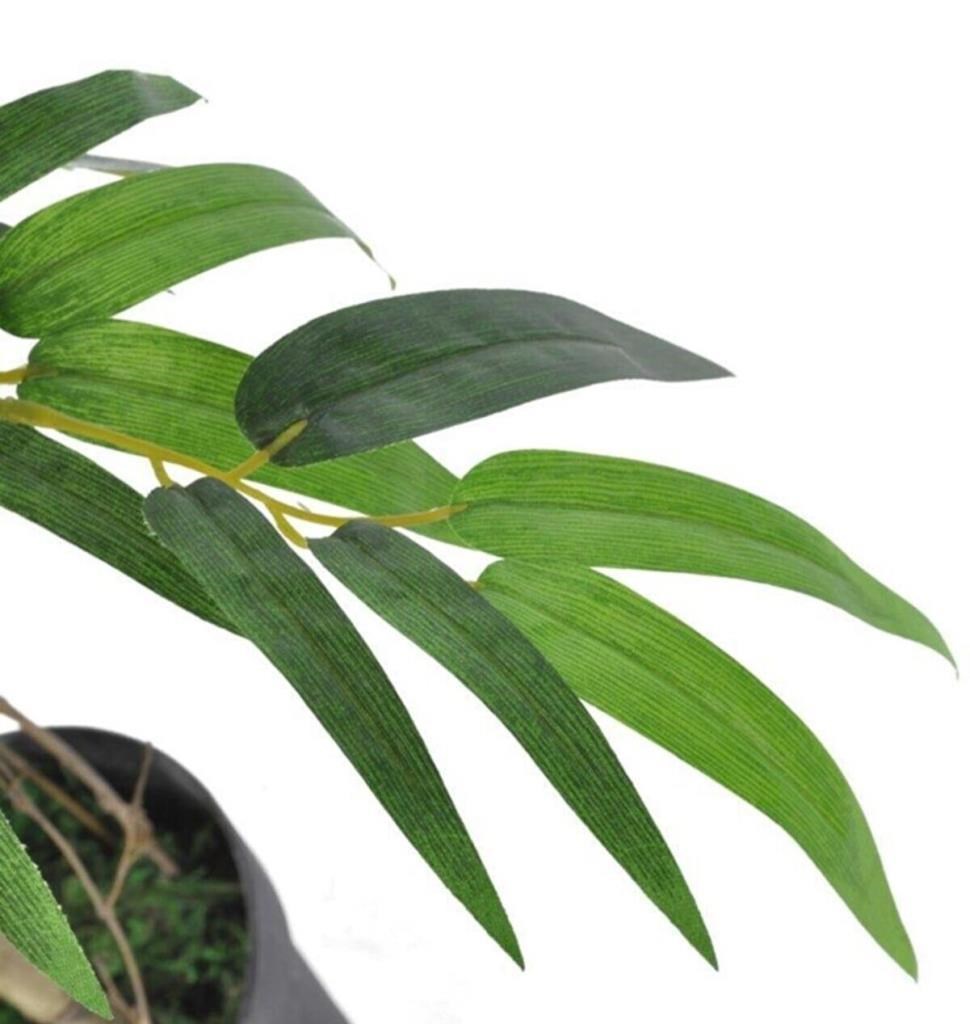 Yapay Ağaç Bambu Ağacı 2 Gövdeli Salex li 90x30cm Siyah Plastik Saksılı