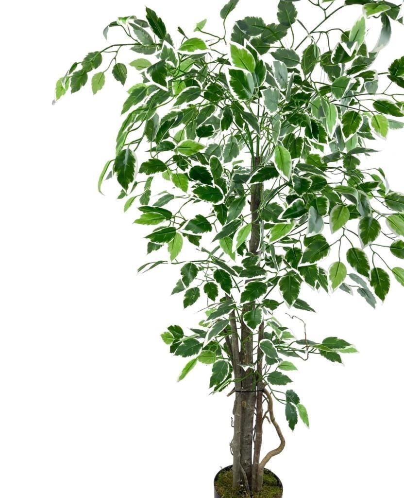 Yapay Ağaç Benjamin 120cm Yeşilbeyaz Çalılı Siyah Plastik Saksılı